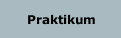 Praktikum